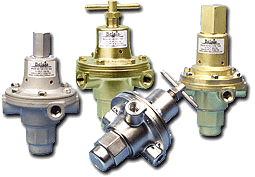 Type P39 Regulator